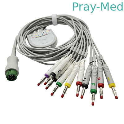 Mua 10 dây dẫn Biocare EKG Cáp 3.6m Xám TPU Jacket với đầu nối Banana 4.0 sản xuất trực tuyến
