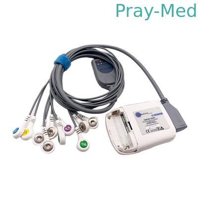 Mua Cáp Borsam Holter Ecg 10 Chì xám 2m Tương thích cho Bs6930 BS6930-3 sản xuất trực tuyến